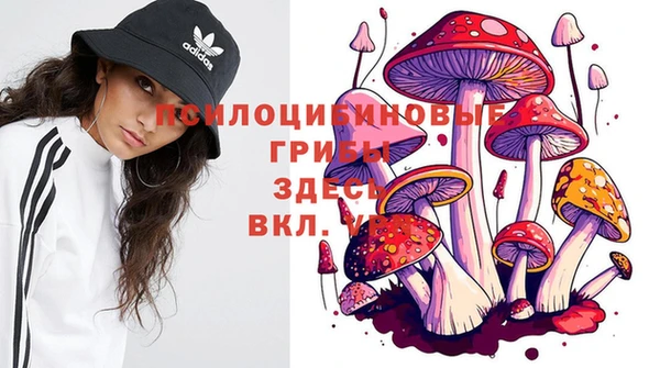 альфа пвп Магас