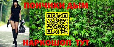 гидра Дубна