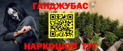 гидра Дубна