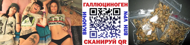 мега как войти  Тулун  Псилоцибиновые грибы мухоморы 