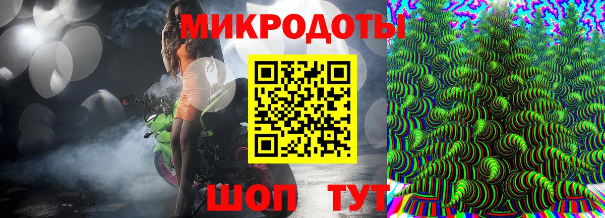 Галлюциногенные грибы Psilocybine cubensis Тулун