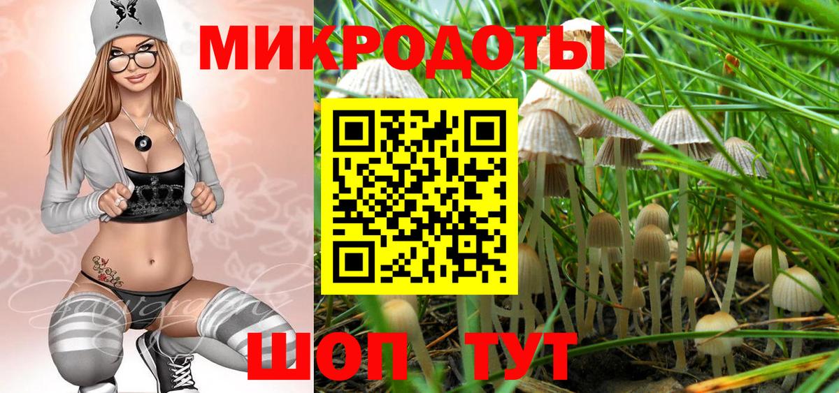 Галлюциногенные грибы GOLDEN TEACHER  наркошоп  Псилоцибиновые грибы MAGIC MUSHROOMS  Тулун 