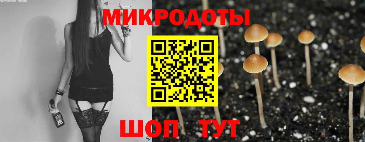 Тулун  Галлюциногенные грибы Magic Shrooms  Вход с VPN  где продают наркотики  Галлюциногенные грибы MAGIC MUSHROOMS 